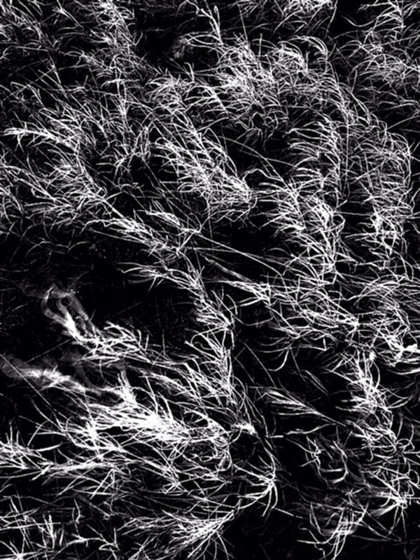 love-takes-over-6452